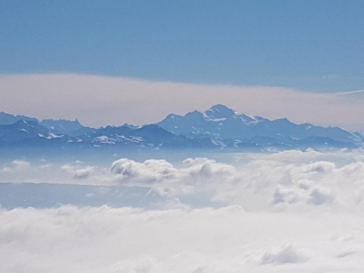 Mont Blanc Chalet Villa Grandevent Exterior foto
